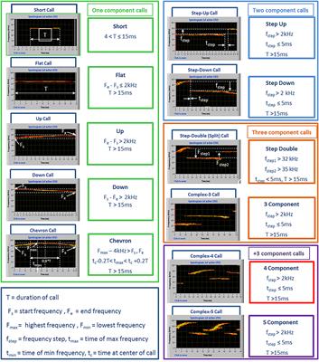 Ultrasonic Vocalizations in Adult C57BL/6J Mice: The Role of Sex Differences and Repeated Testing